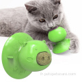 Brosse à dents de chat jouet de jouet de haute qualité